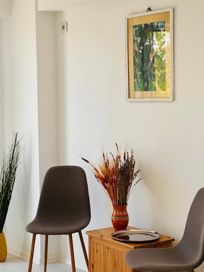 The Airport Loft Lägenhet Otopeni Exteriör bild